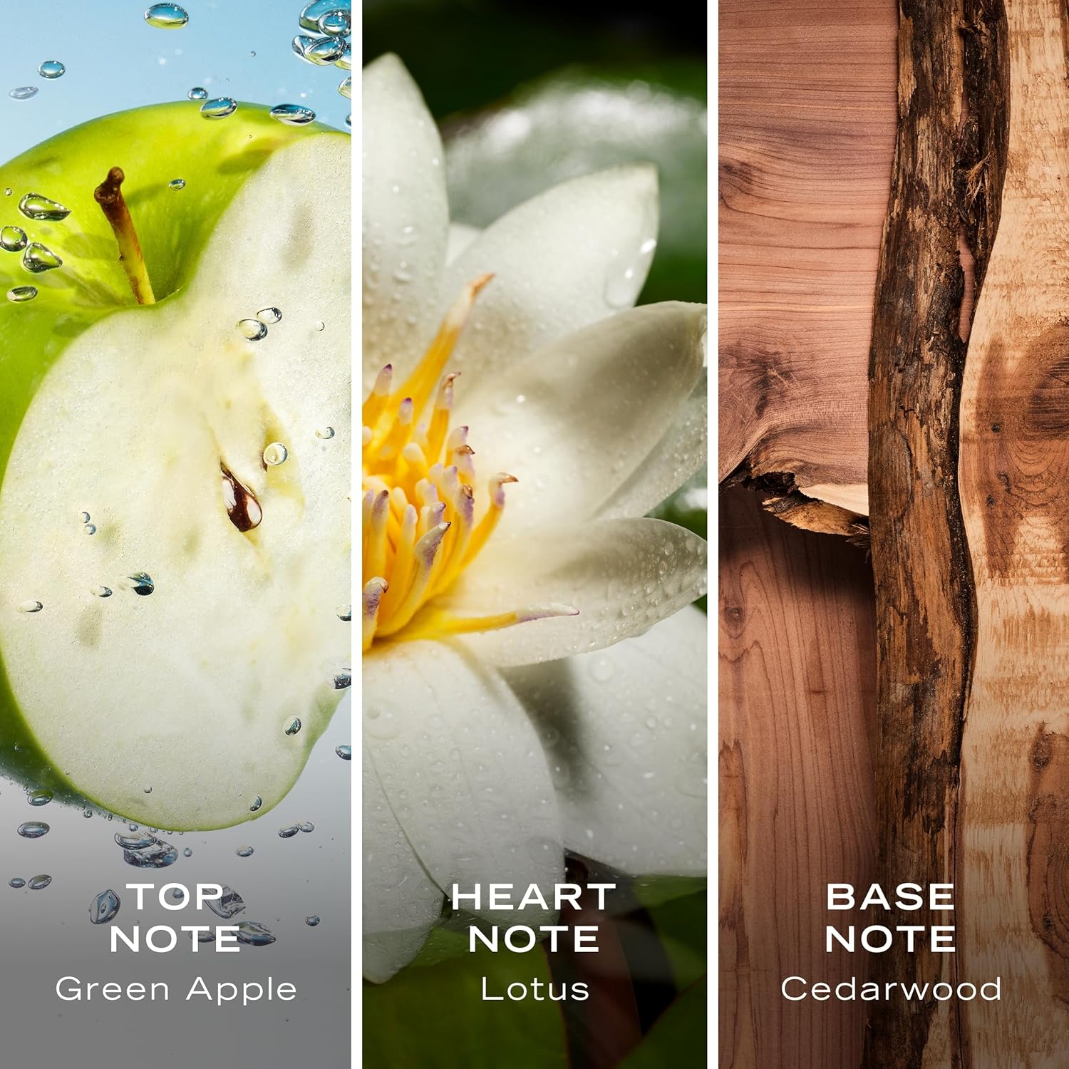 Nautica Voyage Eau de Toilette Cologne for Men 3.3 oz - Image 4